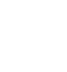 car wreck icon