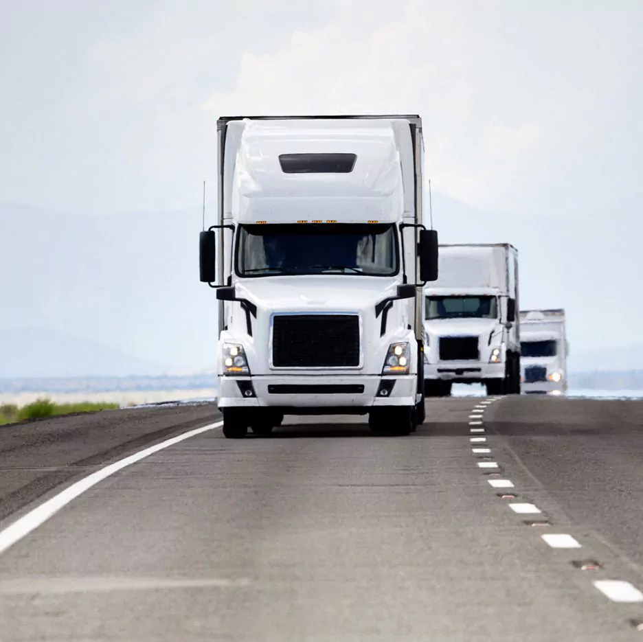 White Truck